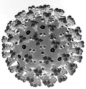 Schéma viriónu koronavírusu