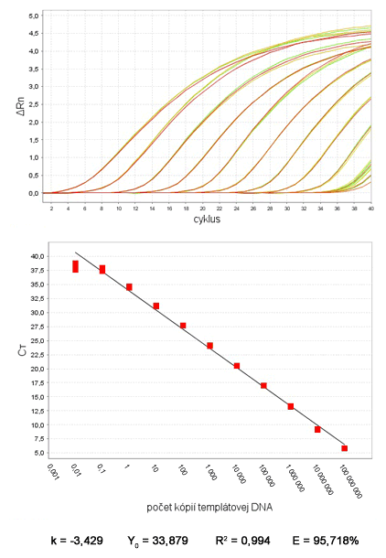 Typický amplifikačný graf sériovo riedeného templátu štandardy a graf kalibračnej krivky so závislosťou počtu kópií templátovej DNA od Ct hodnôt