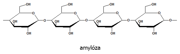 Amylóza