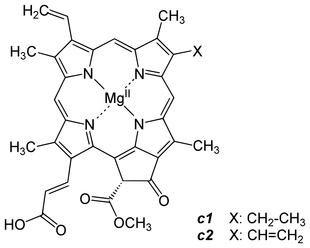 Štruktúra chlorofylu c