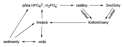 Cyklus fosforu