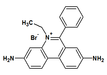 Etídiumbromid