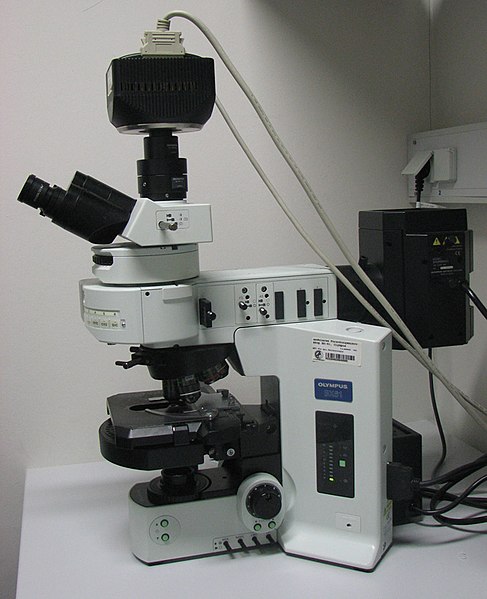 Fluorescenčný mikroskop