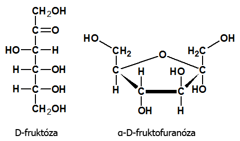Fruktóza (Fischerov a Haworthov vzorec)