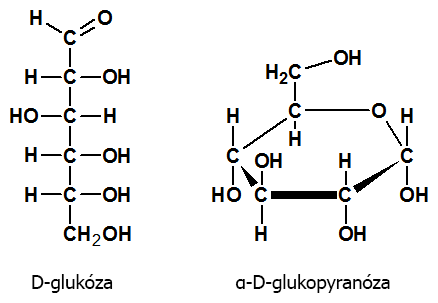 Glukóza (Fischerov a Haworthov vzorec)