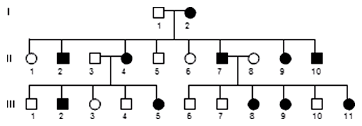 Gonozómovo dominantná dedičnosť (XD)