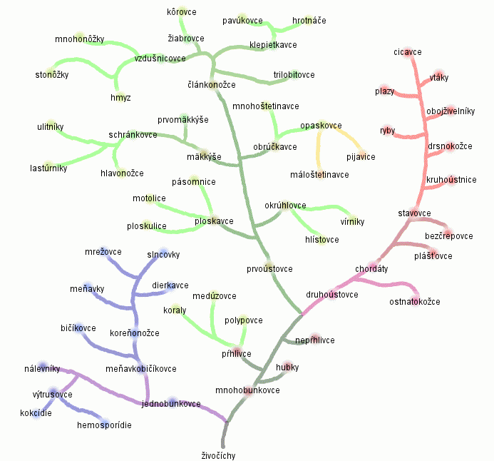 Systém Podľa Biopedia.sk (r. 2000)