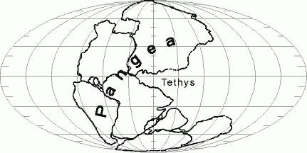 Rozmiestnenie kontinentov pred 250 mil r.