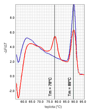Analýza krivky topenia vo dvoch vzorkách (teplota topenia nešpecifického (78°C) a špecifického PCR produktu (89°C))