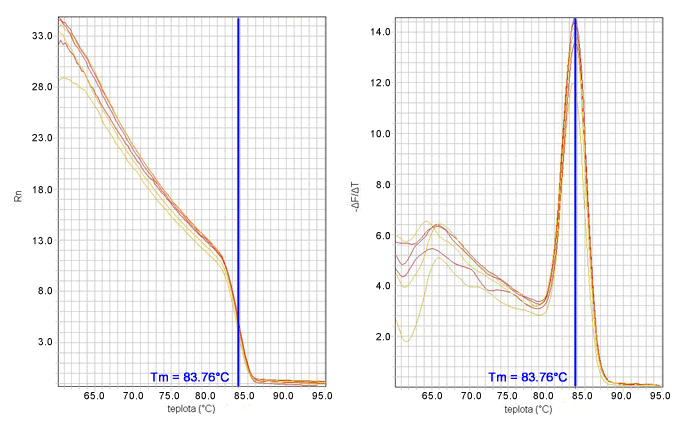 Krivka topenia - závislosť teploty topenia PCR produktu od normalizovanej fluorescencie resp. od zmeny fluorescencie voči teplote