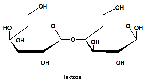 Laktóza