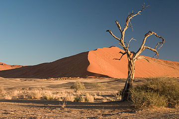 Púšť (Namib)