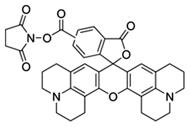 5(6)-karboxy-X-rodamín N-succinimidyl ester - základná fluorescenčná zložka ROX
