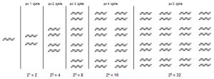 Exponenciálne amplifikujúca sa DNA