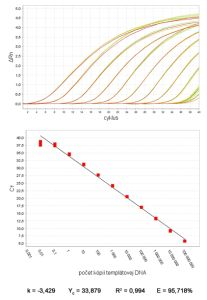 Typický amplifikačný graf sériovo riedeného templátu štandardy a graf kalibračnej krivky so závislosťou počtu kópií templátovej DNA od Ct hodnôt