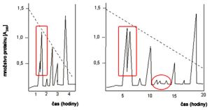 Chromatogram na vysvetlenie rozlišovacej schopnosti