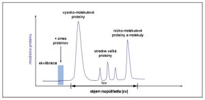 Grafický abstrakt separácie proteínov metódou gélovej filtrácie