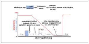 Grafický abstrakt separácie proteínov metódou hydrofóbnej chromatografie