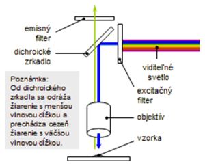 Princíp fungovania dichroického zrkadla vo fluorescenčnom mikroskope