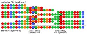 Detekcia polymorfizmu pomocou systému SOLiD