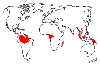 Mapa - tropické dažďové lesy a mangrovy