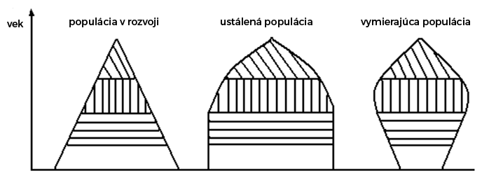 Typy vekových pyramíd