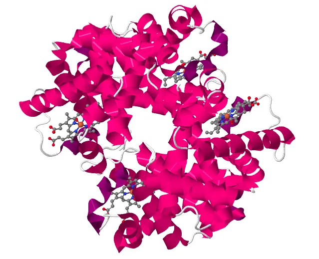 Chromatografické separačné metódy - úvod