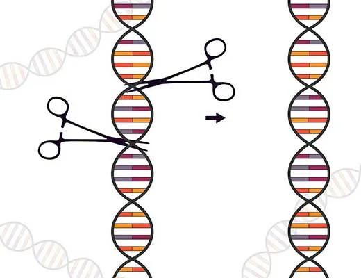 CRISPR-Cas a editácia genómu
