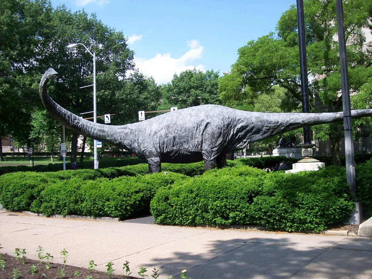 Diplodocus