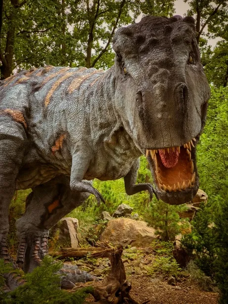 Tyrannosaurus rex