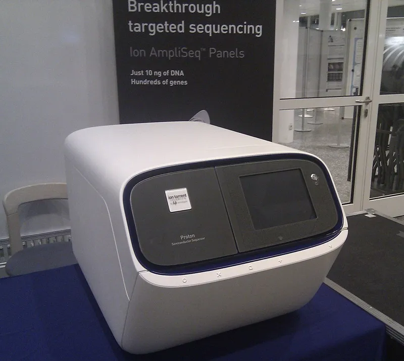 Ion Proton