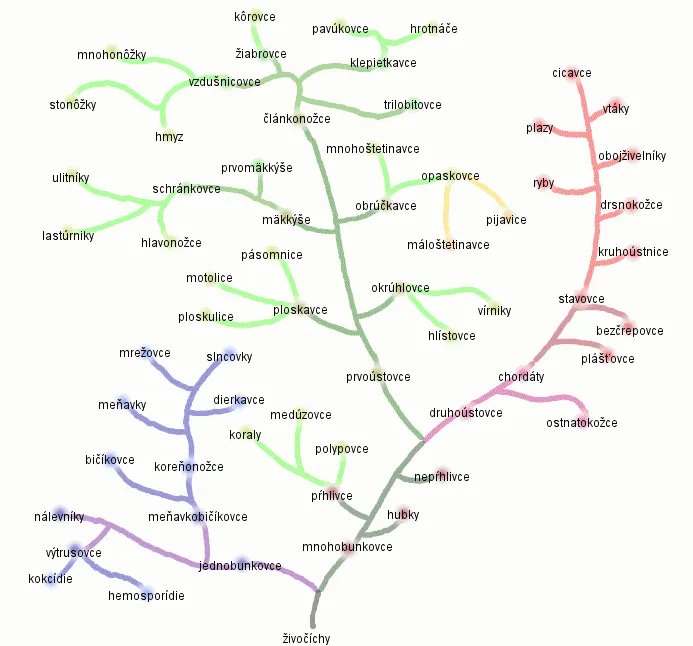 Systém podľa Biopedia.sk (r. 2000)