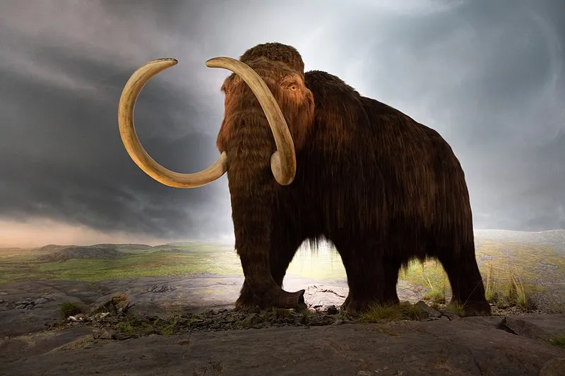 Mamut srstnatý