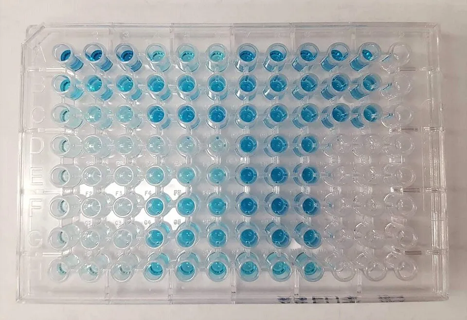 96-jamková mikrotitračná doštička s výsledkami testu ELISA
