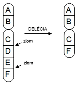 Schéma delécie (intersticiálna delécia)