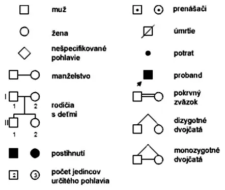 Symboly pri tvorbe rodokmeňov